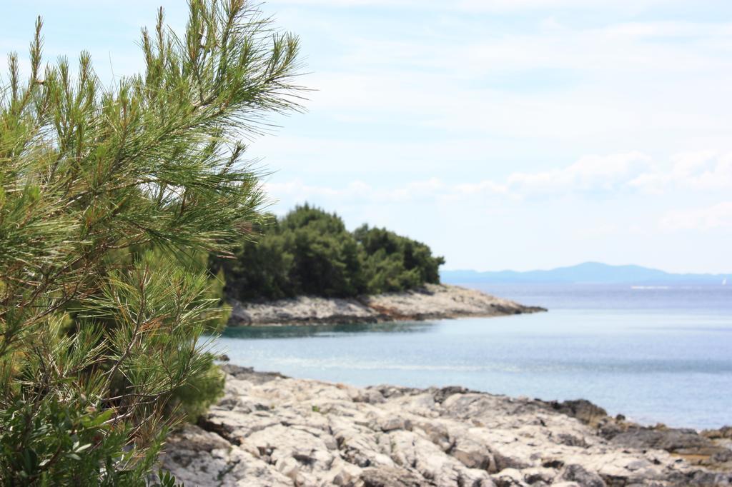 Studio Lenka * Milna (Hvar)